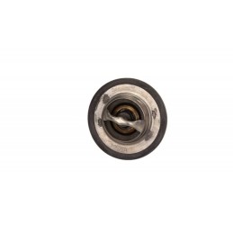 TERMOSTAT RENAULT 89C...