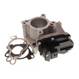 ZAWÓR EGR RENAULT 2,0DCI