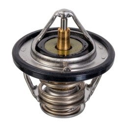 TERMOSTAT 9091603092...