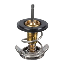 TERMOSTAT LAND ROVER PBM100040