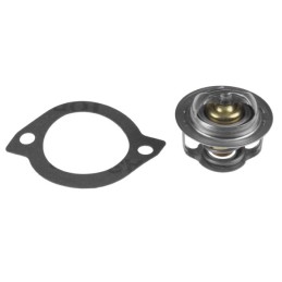 TERMOSTAT 3916972
