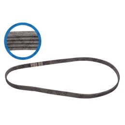 PASEK WIELOROWKOWY 5PK1025...