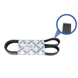 PASEK WIELOROWKOWY 6PK1305...