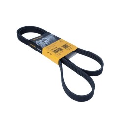 PASEK WIELOROWKOWY 5PK1592...