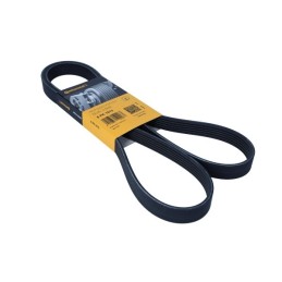 PASEK WIELOROWKOWY 6PK1613...