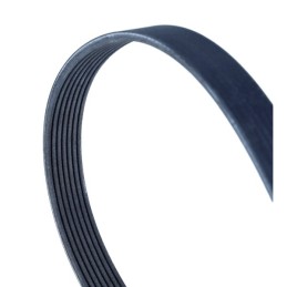 PASEK WIELOROWKOWY 7PK2283...