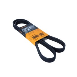 PASEK WIELOROWKOWY 6PK1453...