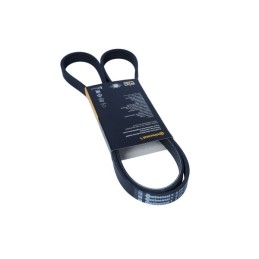 PASEK WIELOROWKOWY 5PK1427