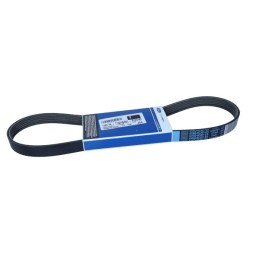 PASEK WIELOROWKOWY 6PK962...